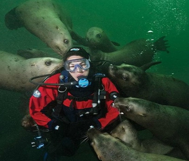 saludando a los lobos marinos